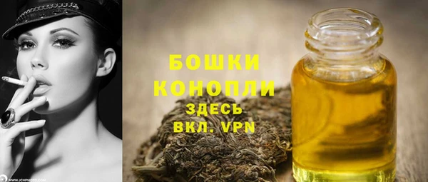 прущие грибы Абдулино