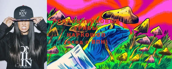 молекула духа Алексеевка