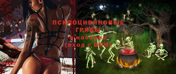 молекула духа Алексеевка