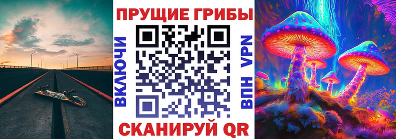 Галлюциногенные грибы ЛСД дарк нет Telegram Сураж kraken зеркало